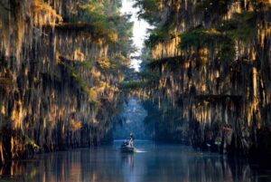 The 18 Best Lakes Across The South